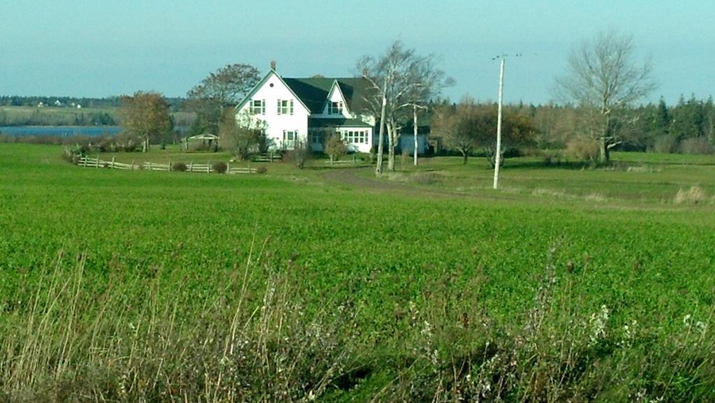 Lovely Green Gable Home Miscouche Kültér fotó